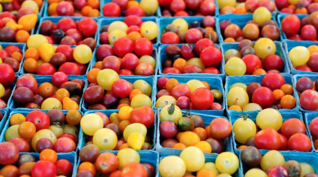 Farmers market, food bank dedicated to nourishing Missourians • Missouri Independent