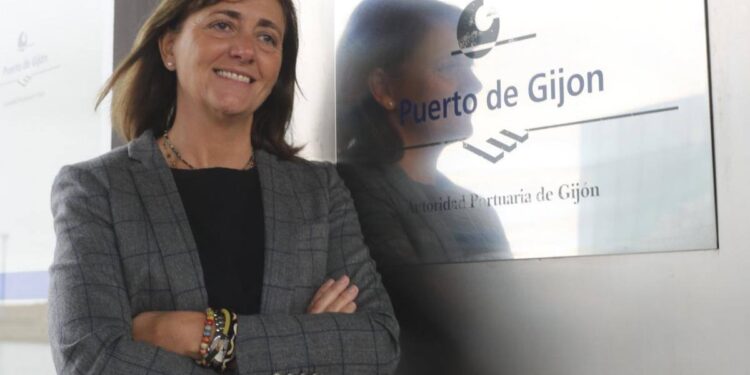 «Ninguna compañía de cruceros nos ha pedido construir una terminal»