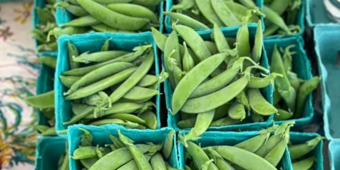 Local startup tackling food insecurity across metro Detroit