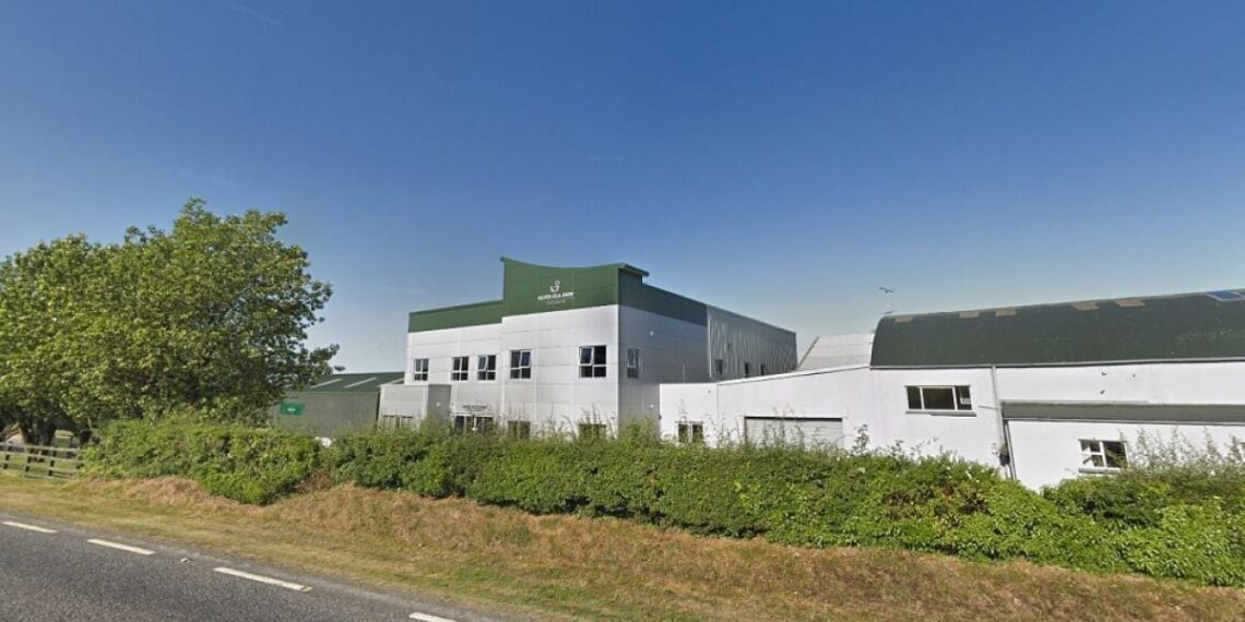 Silverhill Foods lodge application for new solar development
