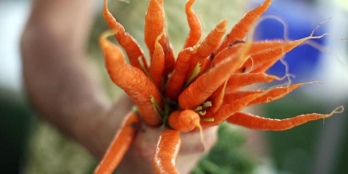 Can certain foods reduce cancer risk? Here are 6 anti-cancer foods