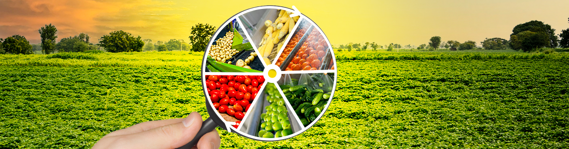 Agri-Food Processing: Unveiling Potential at WIC