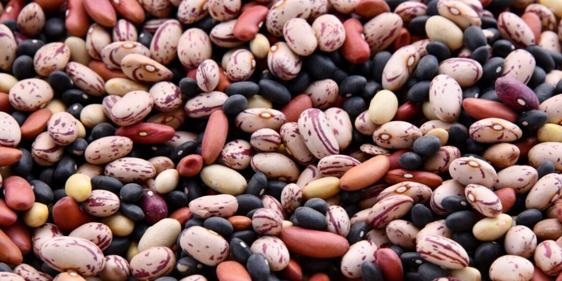 6 High-Estrogen Foods Men Should Avoid – BOXROX