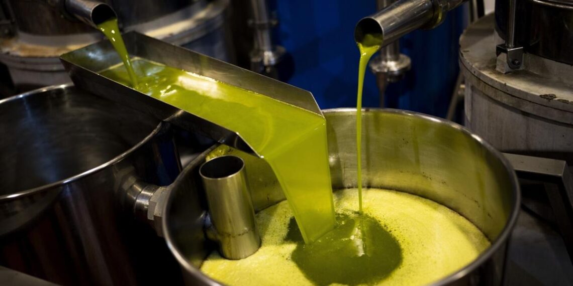 Price of olive oil, other basic European foods skyrocketing