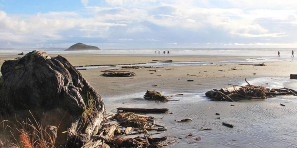 Low-wage earners cutting corners on healthy foods to make ends meet in Tofino