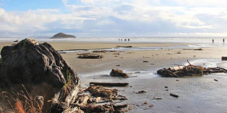 Low-wage earners cutting corners on healthy foods to make ends meet in Tofino