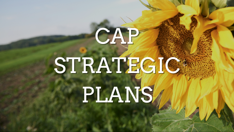 A Sustainable Food System Law Paving the Way for an Ambitious CAP Reform