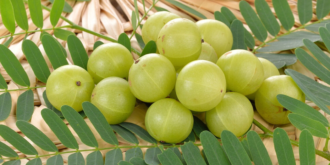Want Healthy Hair? Include These 5 Superfoods In Your Healthy Food Chart For Hair