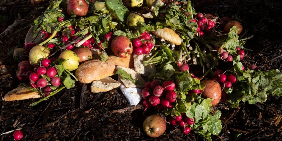 How bad is food waste in the US? Study shows what you can do to help.