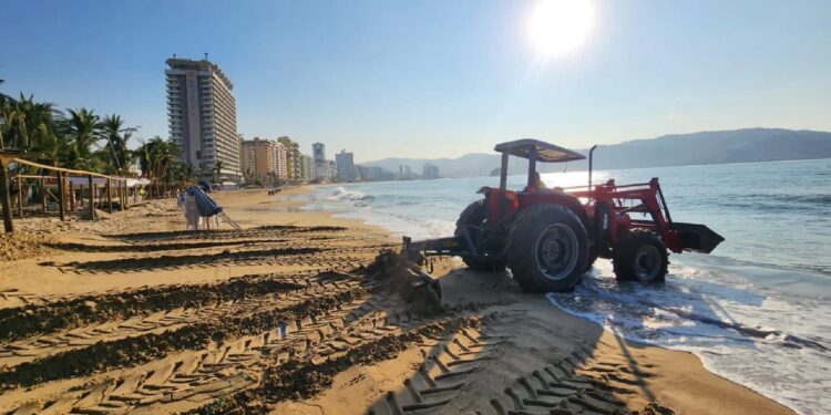 Acapulco se prepara con 4 mil 500 habitaciones para la temporada vacacional tras huracán Otis