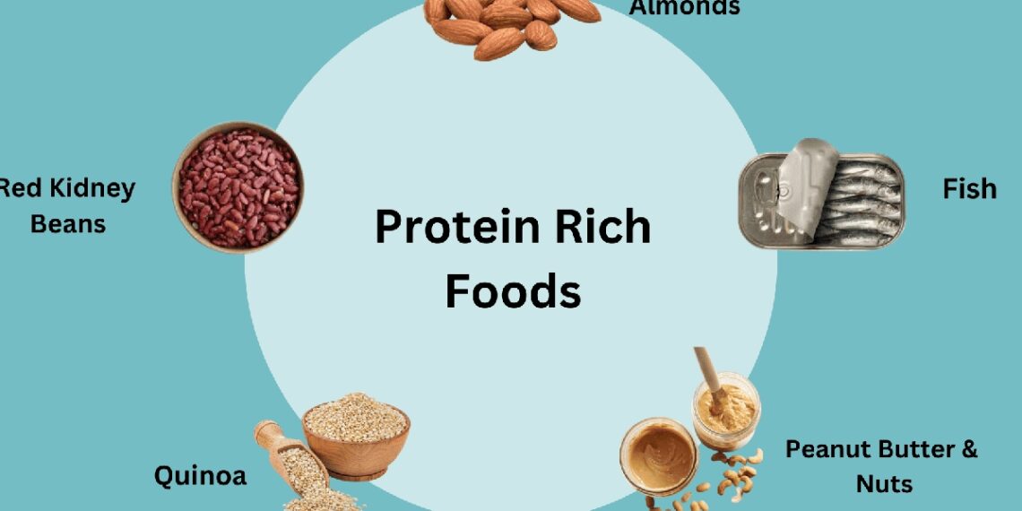 Understanding the Importance of Protein in Your Diet: Recommended Intake and Optimal Sources