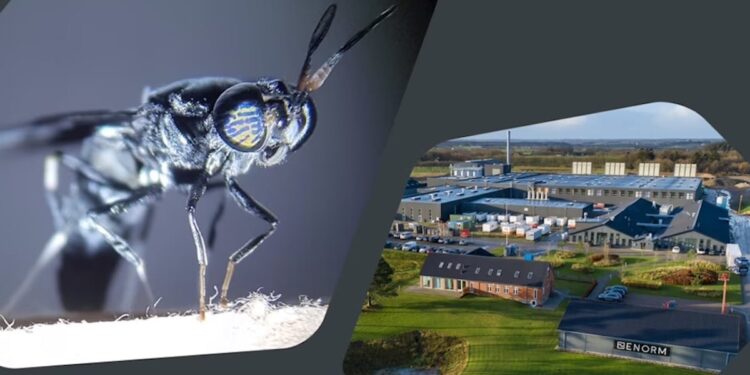 Arla Foods Ingredients partners with ENORM, Northern Europe’s largest insect farm, in a partnership that will significantly reduce food waste.