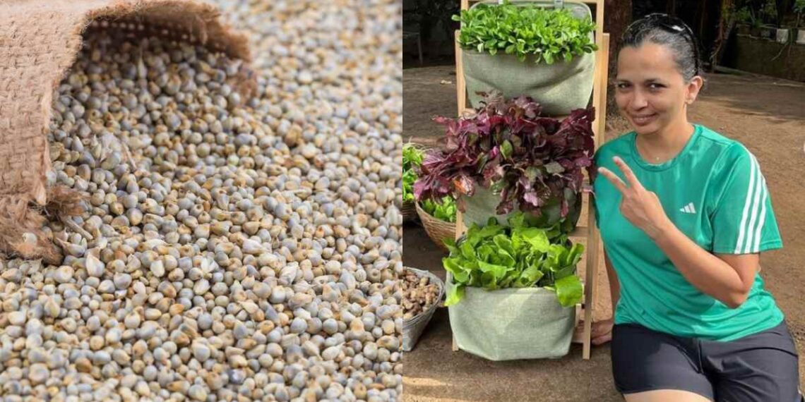 From Bajra To Kulith, Celebrity Nutritionist Shares 5 Winter Foods To Boost Your Immunity