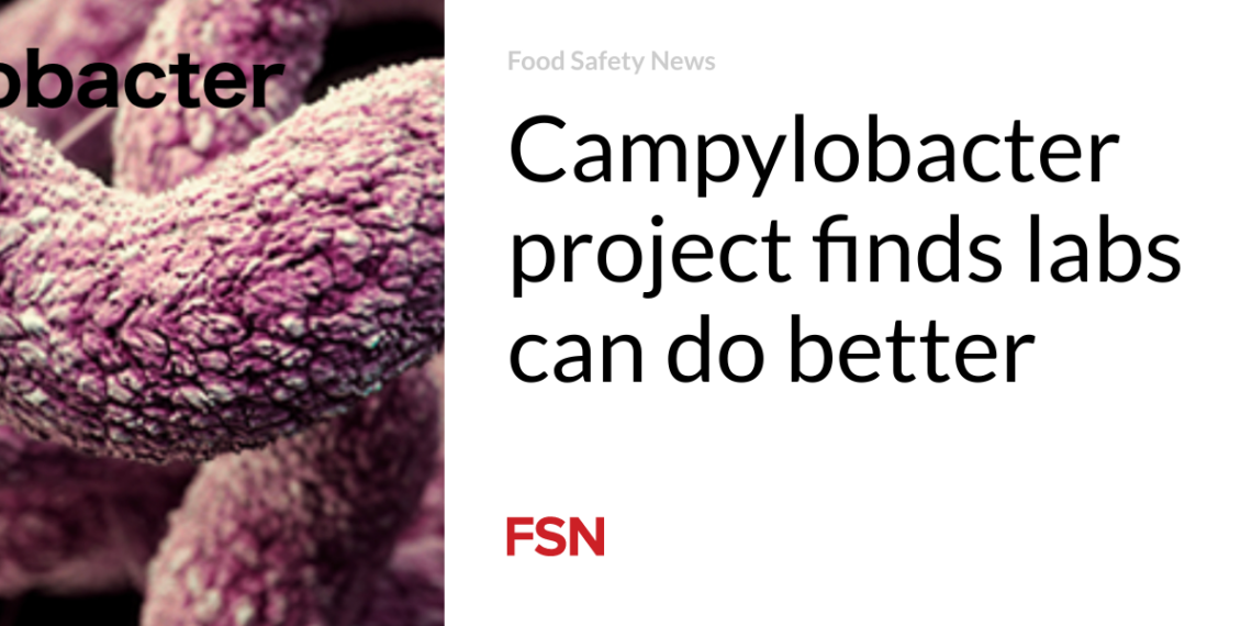 Campylobacter project finds labs can do better