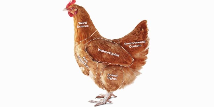 Upside Foods Struggles With Lab-Grown Chicken Despite $600 Million