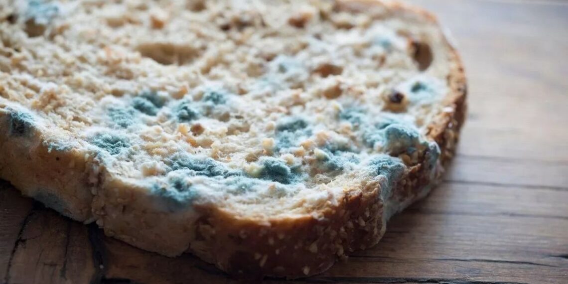 Safety expert says which foods you can still eat if they're mouldy