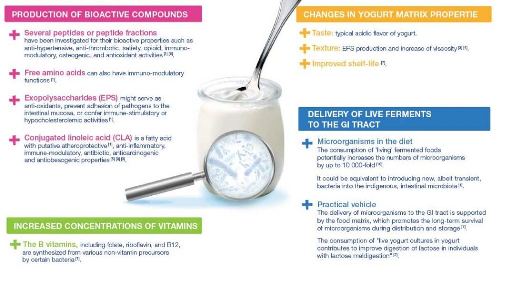 The Power of Fermented Foods: Enhancing Stress Management and Mental Health