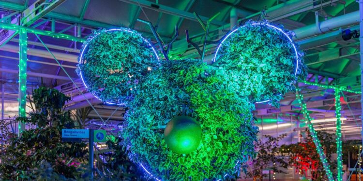 transmisión especial para agentes de sueños