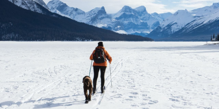 Los mejores destinos de México para disfrutar de paisajes con nieve durante diciembre