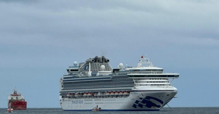Turistas extranjeros a bordo de cruceros disfrutaron ayer de Punta Arenas