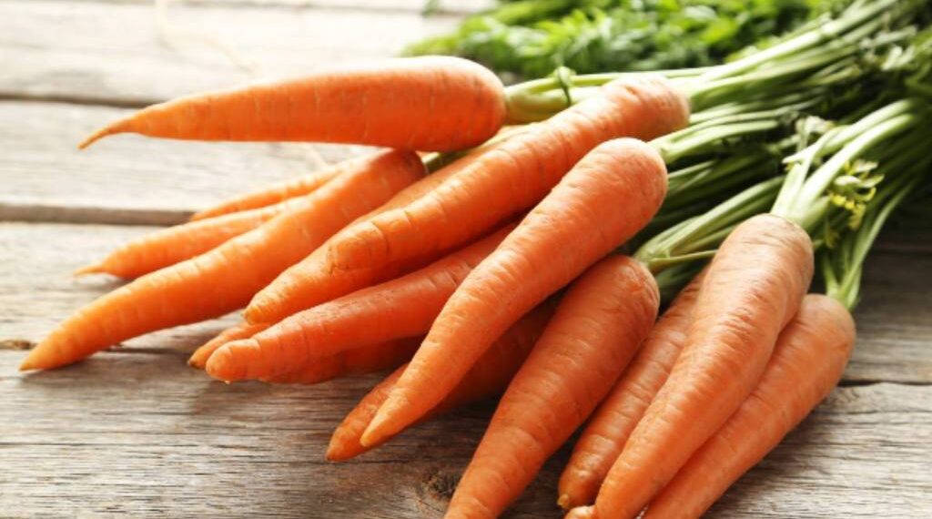 Incorporating Healthy Foods for a Balanced Diet – Punekar News