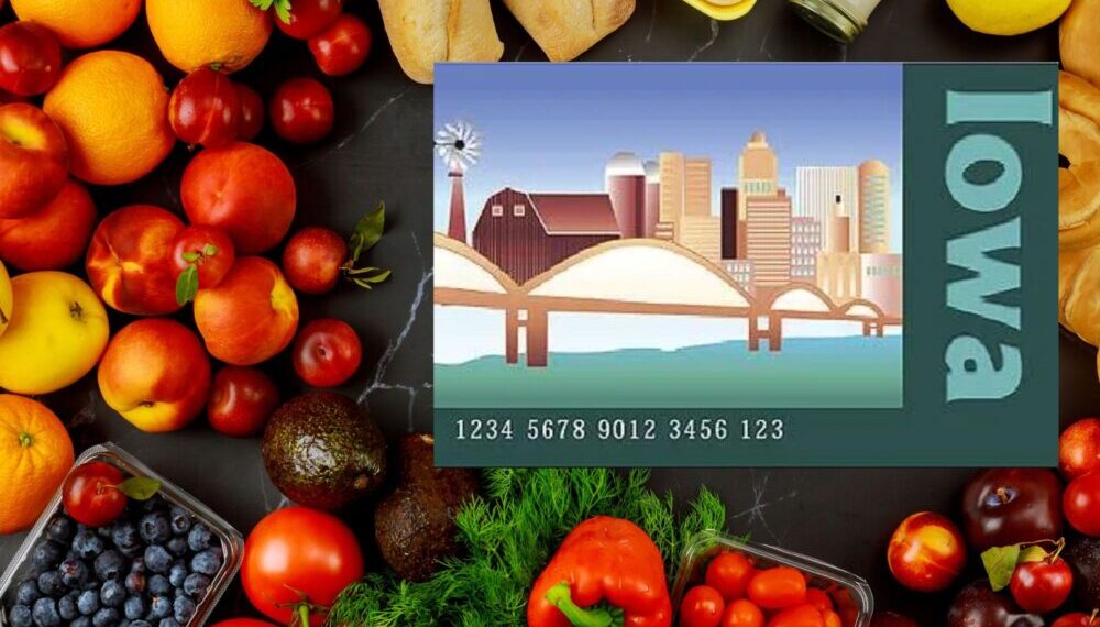 Iowa will not participate in federal summer meal program for low-income children