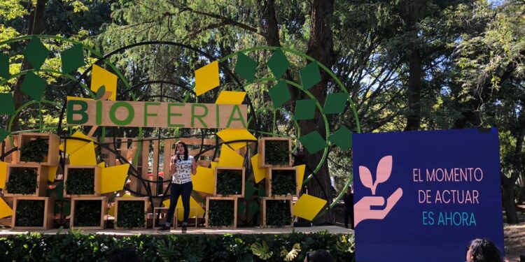 IPG Mediabrands Experience