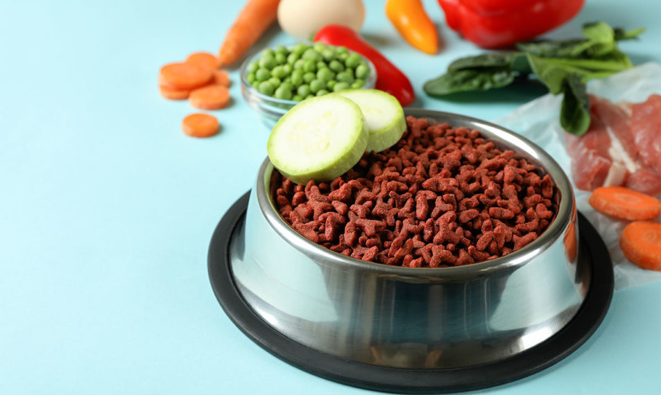 EU adopts new labeling rules for organic pet foods