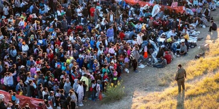 Oleada de migrantes es impulsada por agencias de viajes, según CBP