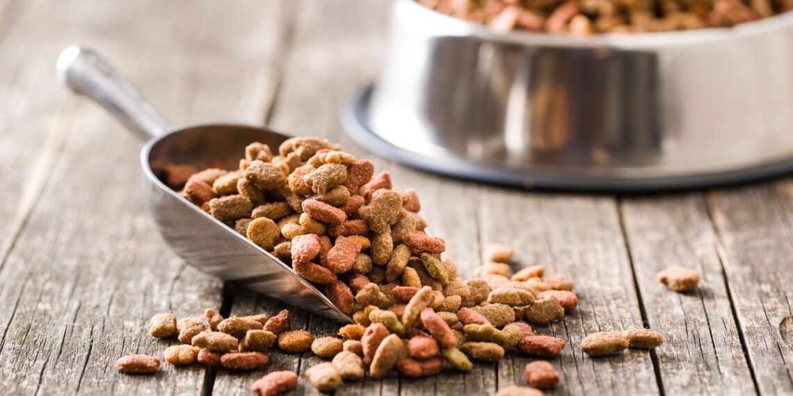 8 Best Pet Food Brands In The UK