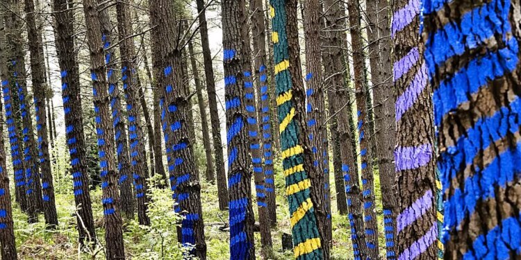 Las mejores escapadas para huir de la Navidad