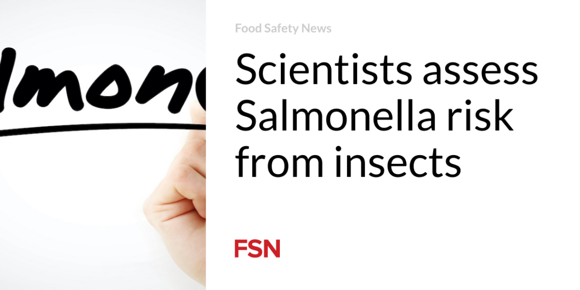 Scientists assess Salmonella risk from insects