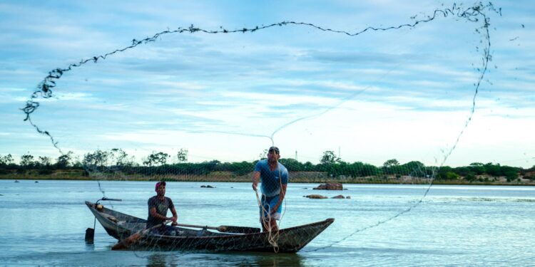 Our History - Slow Food