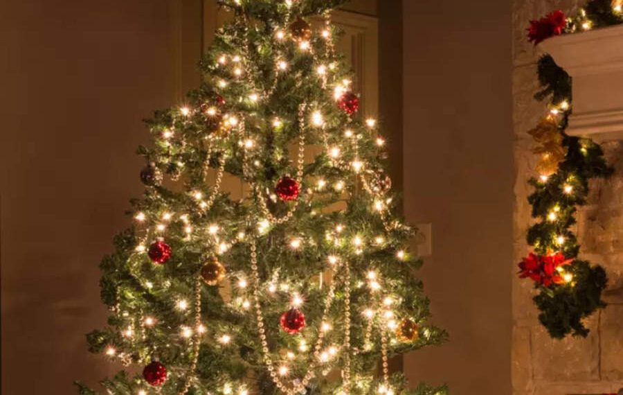 Christmas 2023: 9 foods you can use to decorate Christmas tree