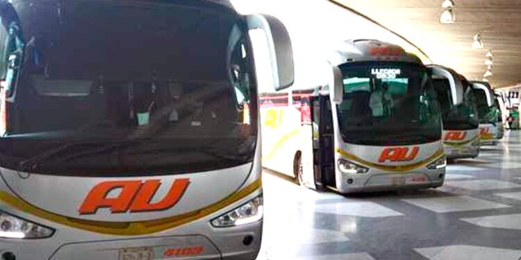 Descuentos de Invierno para Estudiantes y Maestros en Viajes