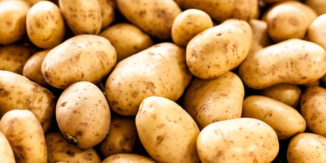 Potatoes May Be Reclassified as a Grain