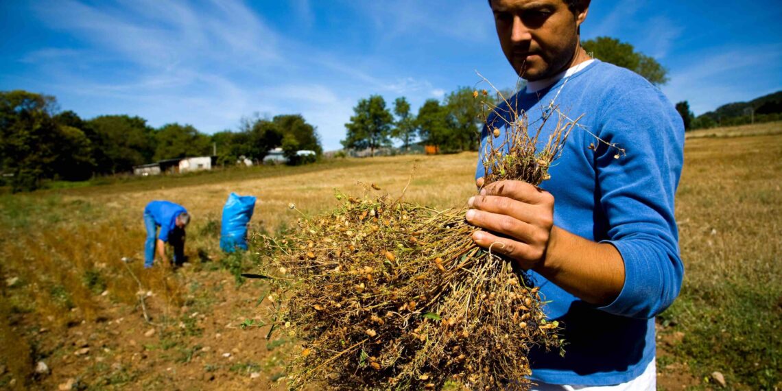 European Advocacy Topics - Slow Food