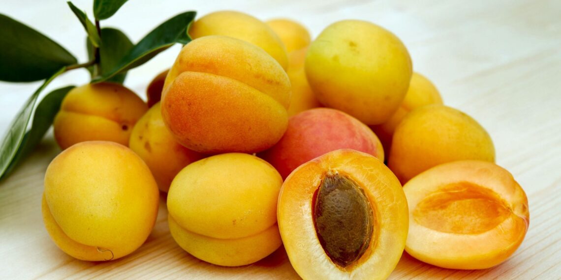 Vitamin A foods (Image via Unsplash/Ilona Frey)