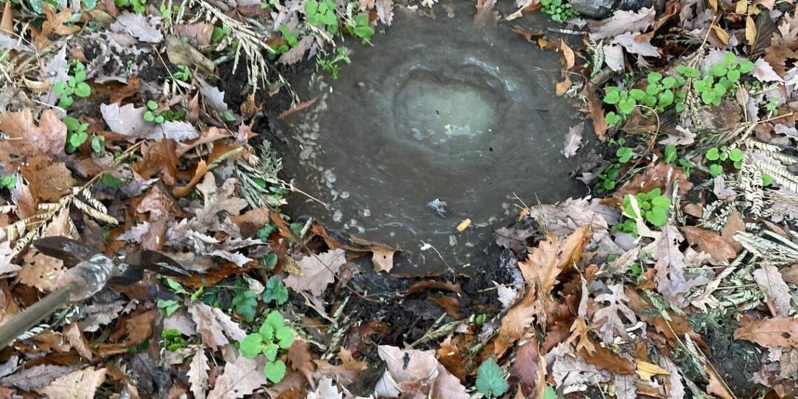 Noel resident takes on Tyson Foods in septic system dispute | Local News