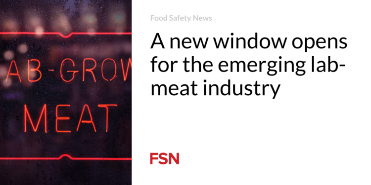 A new window opens for the emerging lab-meat industry
