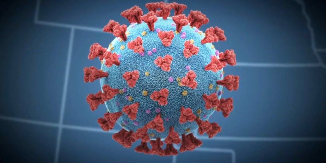 COVID-19 Massachusetts Viajes navidad – Telemundo Nueva Inglaterra