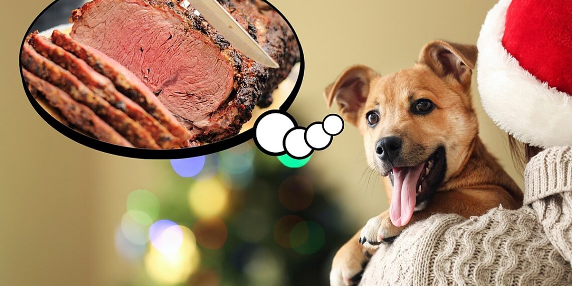 Attn. WA, OR & CA! These Are The Dangerous Holiday Foods For Dogs