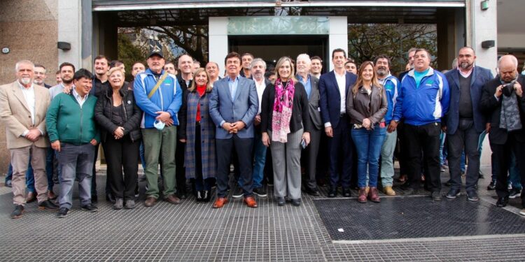 Dieron curso al amparo de 500 intendentes contra el DNU de Milei y las agencias de viaje también van a la Justicia