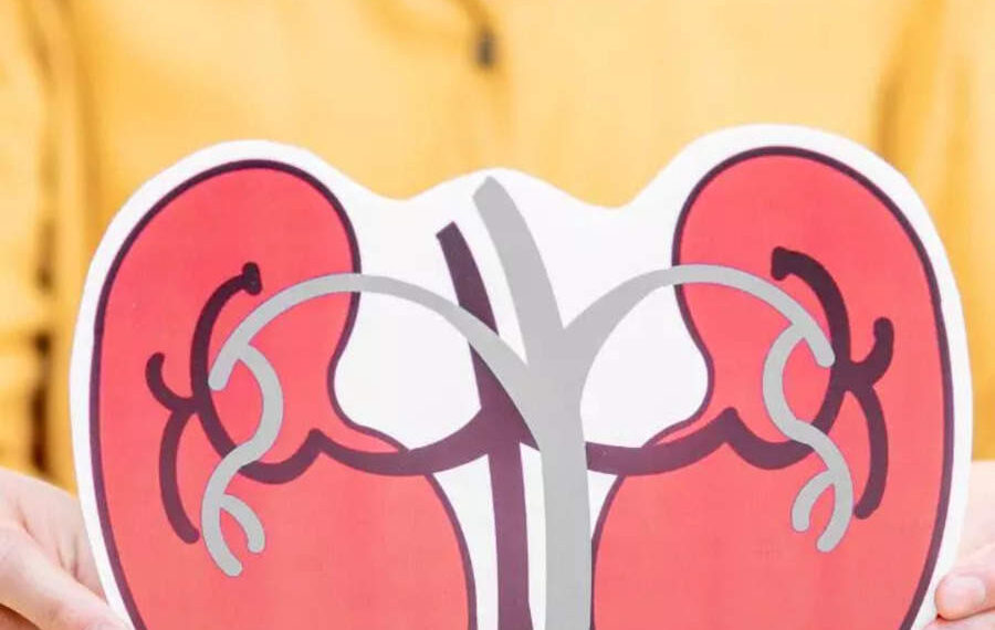 8 Foods that help improve Kidney health