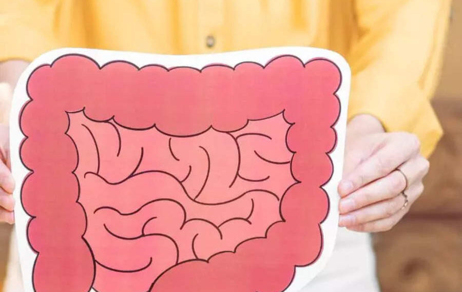 Gut Health Foods: 8 Common foods that can naturally cleanse the Gut