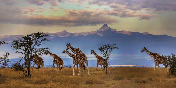 África como primer destino en tu lista de experiencias