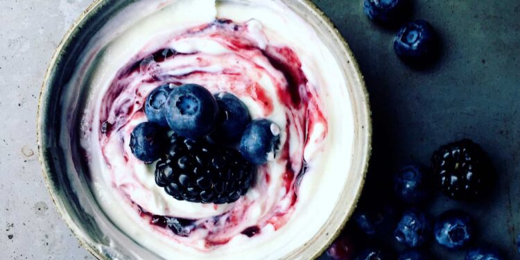 Full-fat dairy foods and cardiovascular disease: Is there a connection?