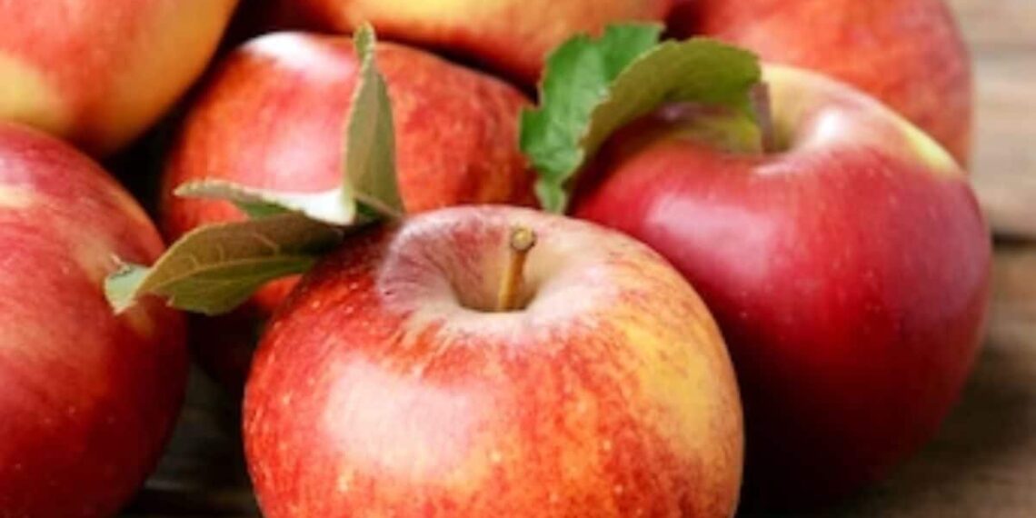 What Foods One Can Have to Maintain Healthy Teeth?