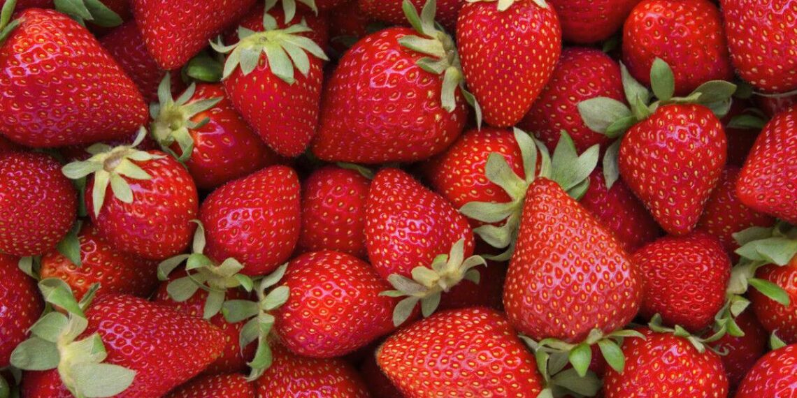 fat-burning-foods-jpg | Parade | tribuneledgernews.com