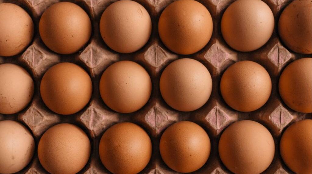Cal-Maine to buy Tyson Foods plant for egg production